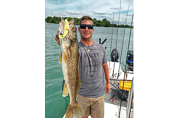 Image of SteelShad XL Bait, 3/4 Oz, Yellow Shad, SSL-10068