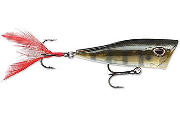 Image of Storm Arashi Cover Pop 8, 3.12in, 1/2oz, Green Gill, ACP08691