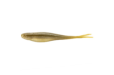 Image of Strike King 3X Z-Too Softbait, 4 pack, 7in, AYU, 12-36729