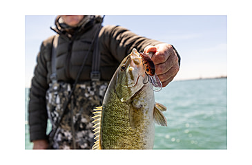 Image of Strike King 3XD Elite Crankbaits, Chartreuse Baitfish, 7/16oz, HC3XDE-432