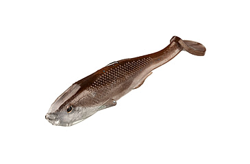 Image of Strike King Final Copy Weedless Softbait, 1 pack, 6in, Reel Shad, 12-36071