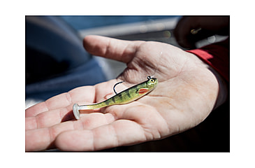 Image of Strike King Homing Minnow Softbait, 3 pack, 2.5in, 1/8oz, Ghost Shad, 12-36113