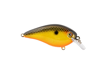 Image of Strike King KVD Elite 1.5 Crankbaits, Fools Gold, 3/8oz, HCKVD1.5E-497