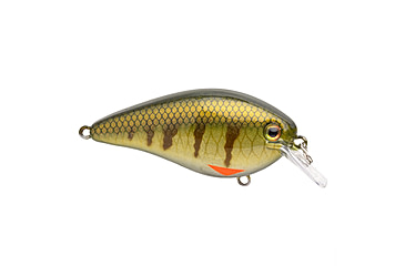 Image of Strike King KVD Elite 1.5 Crankbaits, Pro Phantom Perch, 3/8oz, HCKVD1.5E-339