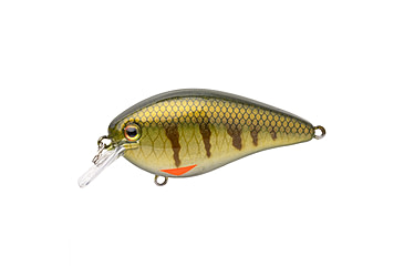 Image of Strike King KVD Elite 1.5 Crankbaits, Pro Phantom Perch, 3/8oz, HCKVD1.5E-339