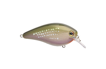 Image of Strike King KVD Elite 1.5 Crankbaits, River Shiner, 3/8oz, HCKVD1.5E-696