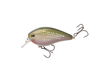 Image of Strike King KVD Elite 1.5 Crankbaits, River Shiner, 3/8oz, HCKVD1.5E-696