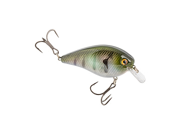 Image of Strike King KVD Elite 1.5 Crankbaits, The Real Gill, 3/8oz, HCKVD1.5E-822