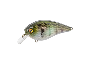 Image of Strike King KVD Elite 1.5 Crankbaits, The Real Gill, 3/8oz, HCKVD1.5E-822