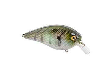 Image of Strike King KVD Elite 8.0 Crankbaits, The Real Gill, 1 1/2oz, HCKVD8.0E-822