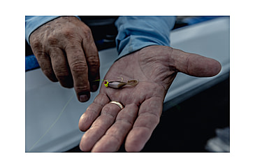 Image of Strike King Mr. Crappie Crappie Cutter Swimbait, Soggy Shiner, 2in, MRCCCTR15-251