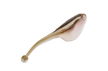 Image of Strike King Mr. Crappie Shadpole Swimbait, Soggy Shiner, 2in, MRCSP-251
