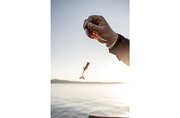 Image of Strike King Pinger Minnow Softbait, 3 pack, 3in, 1/8oz, Great Lakes Goby, 12-36228