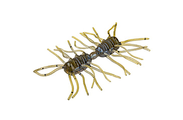 Image of Strike King Sexy Bug Softbait, 6 pack, 2in, Blue Craw, 12-36351