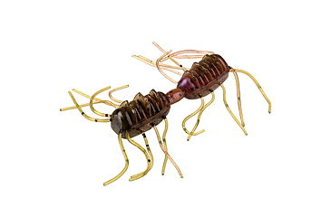 Image of Strike King Sexy Bug Softbait, 6 pack, 2in, Grape Whiskey, 12-36356