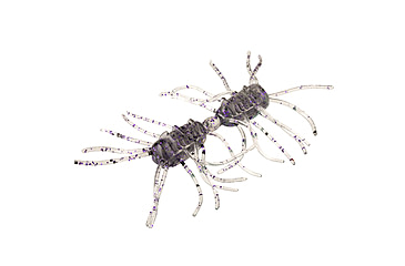 Image of Strike King Sexy Bug Softbait, 6 pack, 2in, Smoke Purple Black Flake, 12-36353