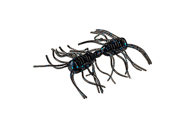 Image of Strike King Sexy Bug Softbait, 6 pack, 3in, Black/Blue, 12-36360
