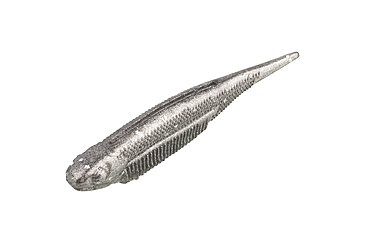 Image of Strike King Spotlight Shim-E Minnow Softbait, 6 pack, 3in, Carolina Chrome, 12-36016