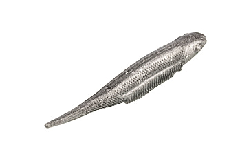 Image of Strike King Spotlight Shim-E Minnow Softbait, 6 pack, 3in, Carolina Chrome, 12-36016