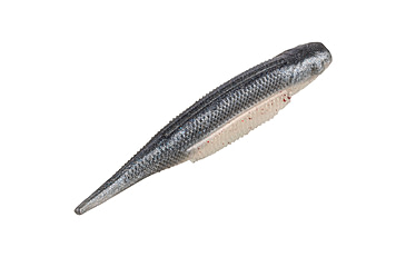 Image of Strike King Spotlight Shim-E Minnow Softbait, 6 pack, 3in, Pro Blue Red Pearl, 12-36023