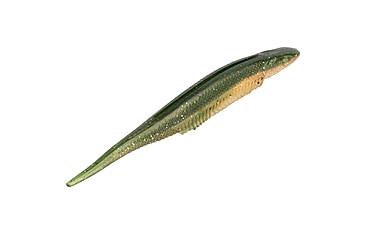 Image of Strike King Spotlight Shim-E Minnow Softbait, 6 pack, 5in, The Real Gill, 12-36029