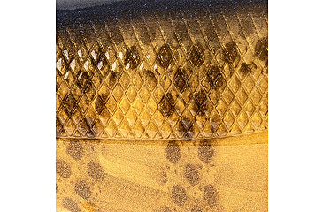 Image of Strike King Patroller 60 Hard Bait
