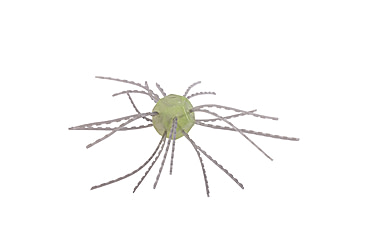 Image of Strike King Tumbleweed Salted Softbait, 4 pack, 3in, Lemon Drop, 12-36264