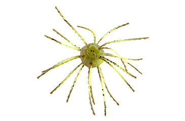 Image of Strike King Tumbleweed Salted Softbait, 4 pack, 3in, Summer Craw, 12-36256