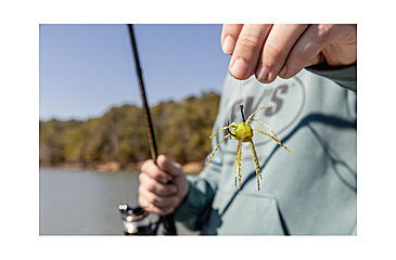 Image of Strike King Tumbleweed Salted Softbait, 4 pack, 3in, Summer Craw, 12-36256