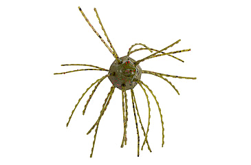 Image of Strike King Tumbleweed Salted Softbait, 4 pack, 3in, Watermelon Red Flake, 12-36262