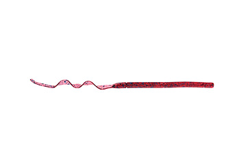 Image of Strike King Zeus Worm 12in, Plum, 12in, PPPW12-7