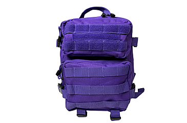 Image of VISM Every Day Pack, Purple, CVEDP3056PR