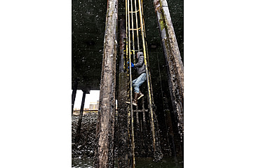 Image of Xtratuf 12 in Plain Toe Legacy Boot - Mens, Copper/Tan, 5, 22172G-CTM-050