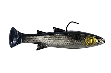 Image of Z-man Mulletron LT Swimbait Lure, Silver Mullet, 6in, MTLT6-03