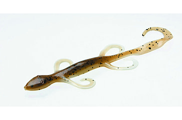 Image of Zoom 6 Lizard