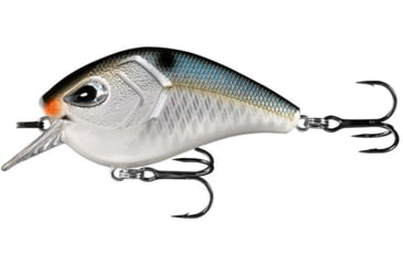 Image of Rapala Flatty Daddy Flat Sided Crankbait 2.5in, 1/2oz, Natty Light, 2.5in, FD65-6-14
