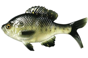 Image of Rapala The Gill Boot Tail Swimbaits, 7, 5.25in, Rusty Bream, CB-Gill5.25-11