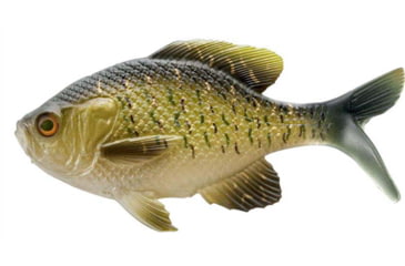 Image of Rapala The Gill Wege Tail Swimbaits, 1, 5.25in, Rusty Bream, CB-GillW5.25-11