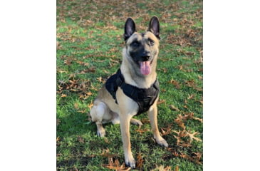 Image of 221B Tactical Artemis K-9 Harness, Black, Medium, AK9-M-BLK