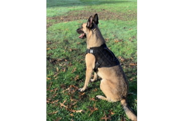 Image of 221B Tactical Artemis K-9 Harness, Black, Medium, AK9-M-BLK