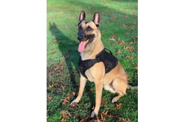 Image of 221B Tactical Artemis K-9 Harness, Black, Medium, AK9-M-BLK