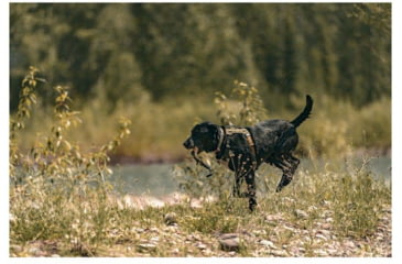Image of 5.11 Tactical Mission Ready Dog Harness - 56789ABR-1055-M