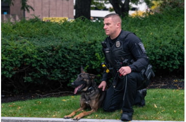 Image of 5.11 Tactical Stryke TDU Pants, DARK NAVY, 30 744337243032