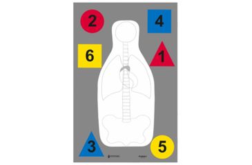 Image of Action Target DT-ANTQ-A MultiPurpose FBI-Q/Vital Anatomy/Commands 100 Per Case, Red/Blue/Yellow/White/Black, 23in x 35in, DT-ANTQ-A-100