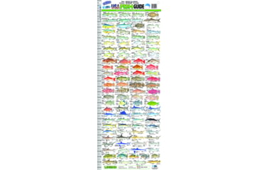 AFN Florida USA Fish Guide Ruler