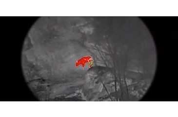 Image of AGM Global Vision 6x Wolverine Pro-6 3AL2 Night Vision Rifle Scope, Gen 3, Auto-Gated, Level 2, Black, 15WP6623453121