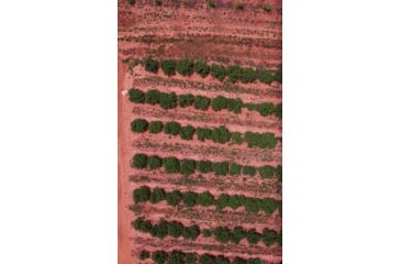 Image of Agrowing Multi-Spectral Evaluation Package, Black, QX1EVL25