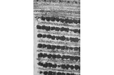 Image of Agrowing Multi-Spectral Evaluation Package, Black, QX1EVL25