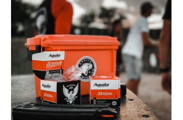 Image of Aguila Ammunition 22LR 38 Grain Copper Plated Hollow Point, Brass Case, Ammo, 250 Rounds, 1B221103