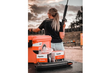 Image of Aguila Ammunition 22LR 38 Grain Copper Plated Hollow Point, Brass Case, Ammo, 250 Rounds, 1B221103